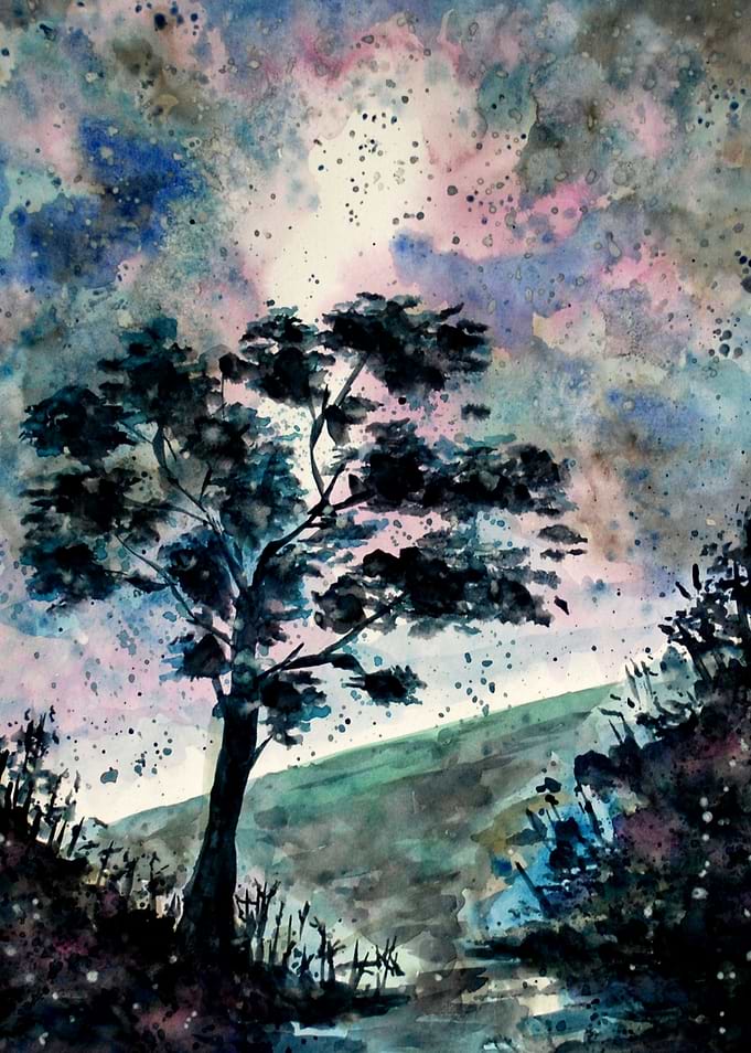 Stars in the Night Sky