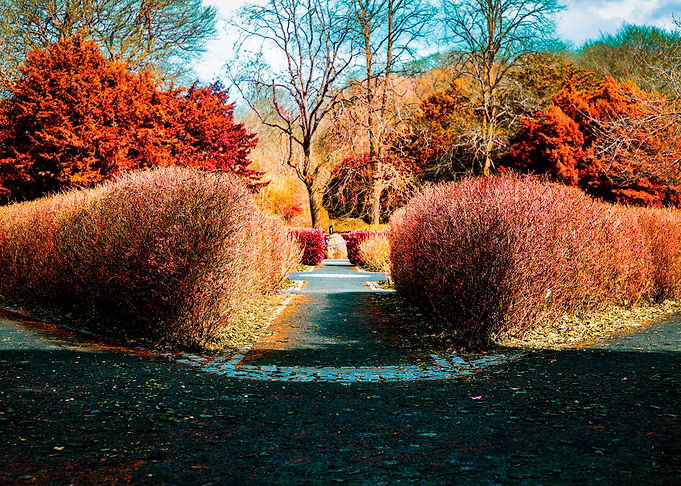 Autumn World