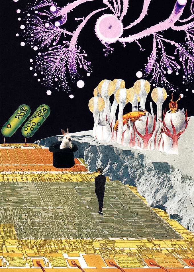 Teleport [collage]