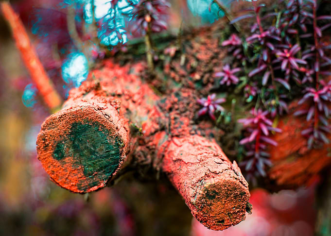 Abstract Branch
