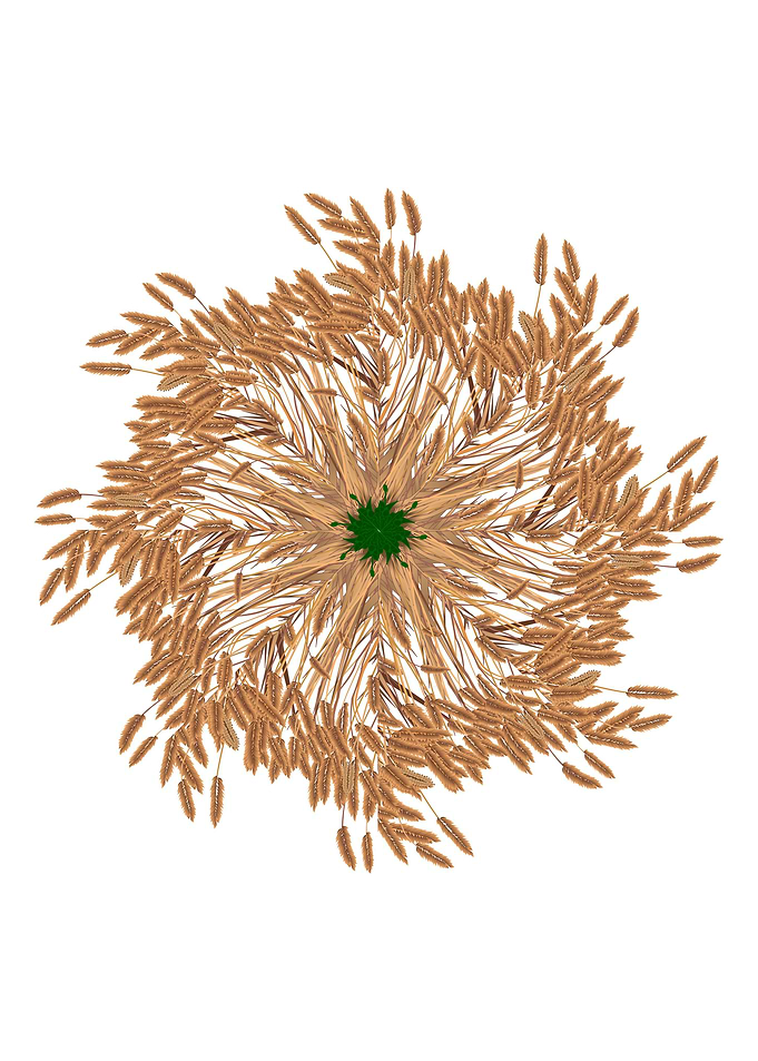 Grasses Isolated Mandela