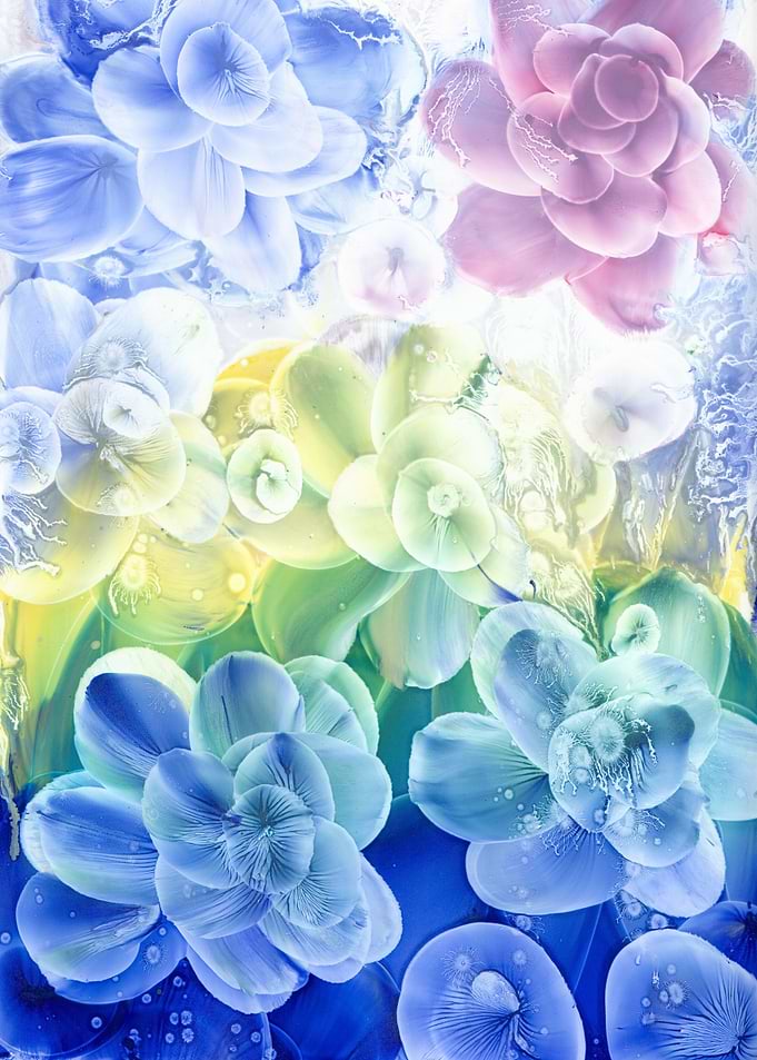 Flowers II