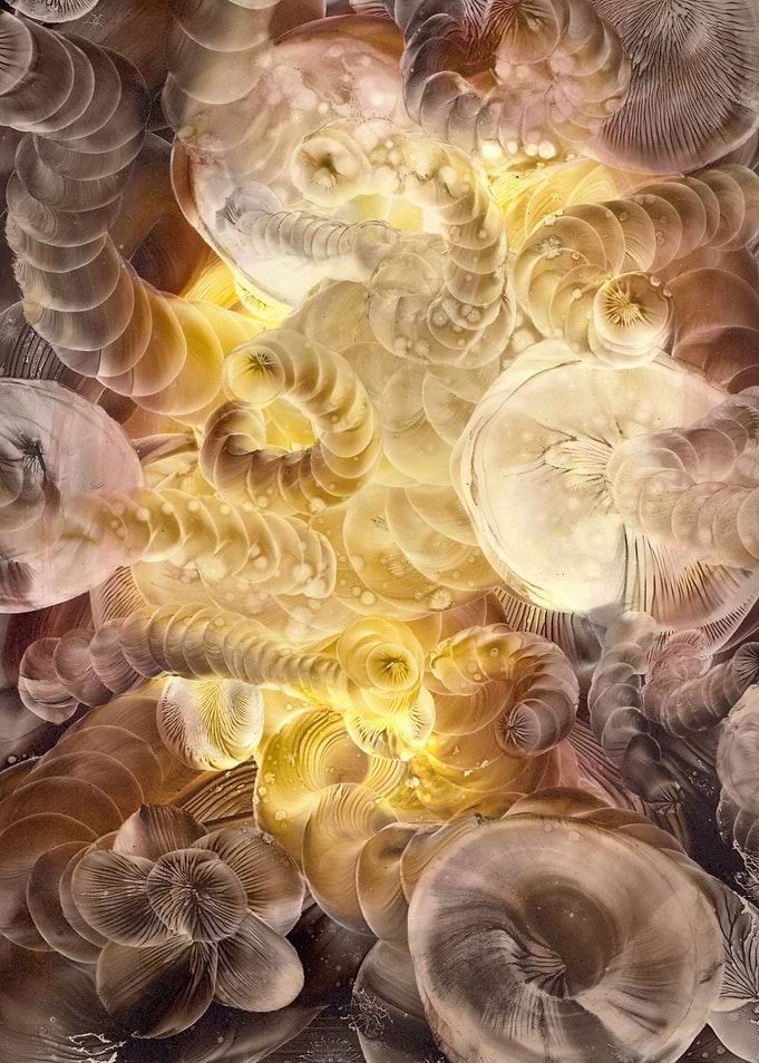 Space VII