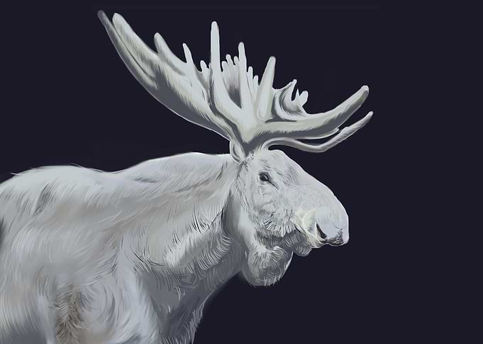 Moose