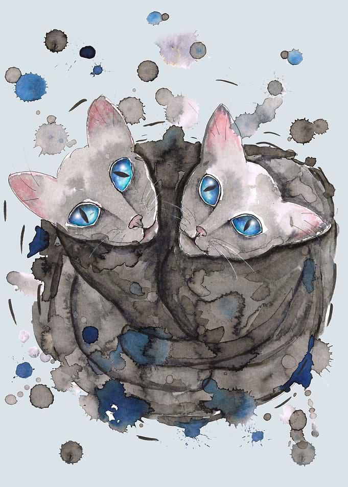 Two gray cat sisters