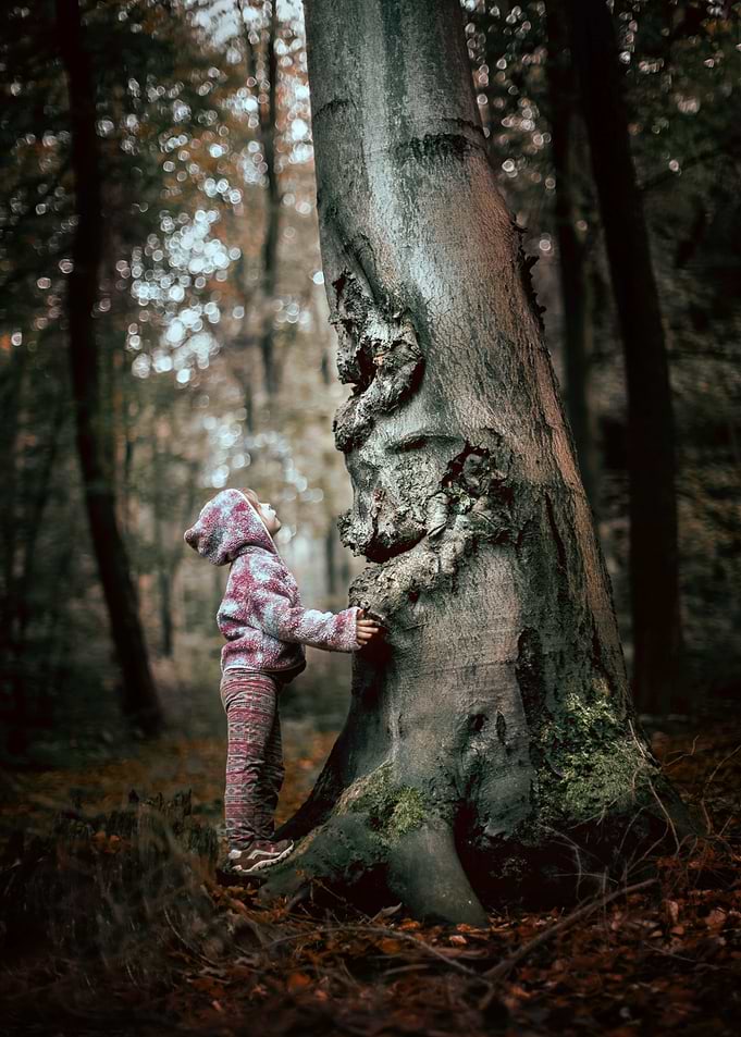 Magical Tree