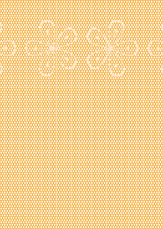 Skin Tone Lace