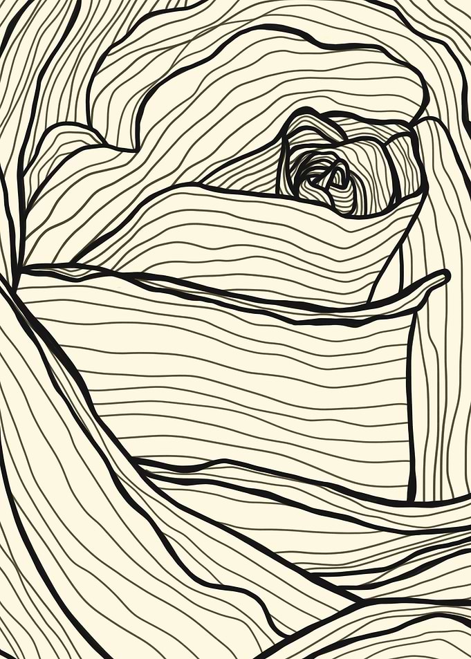 Rose line black and white