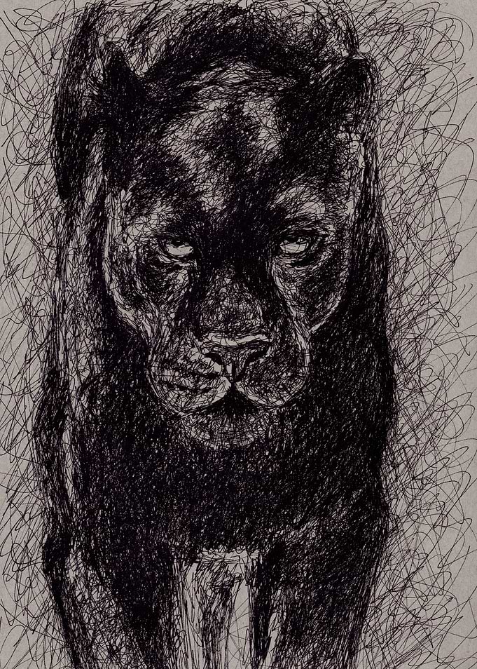black panther scribble art