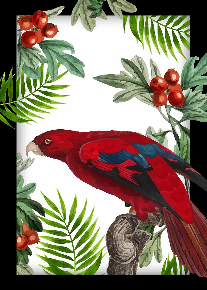 bird 2