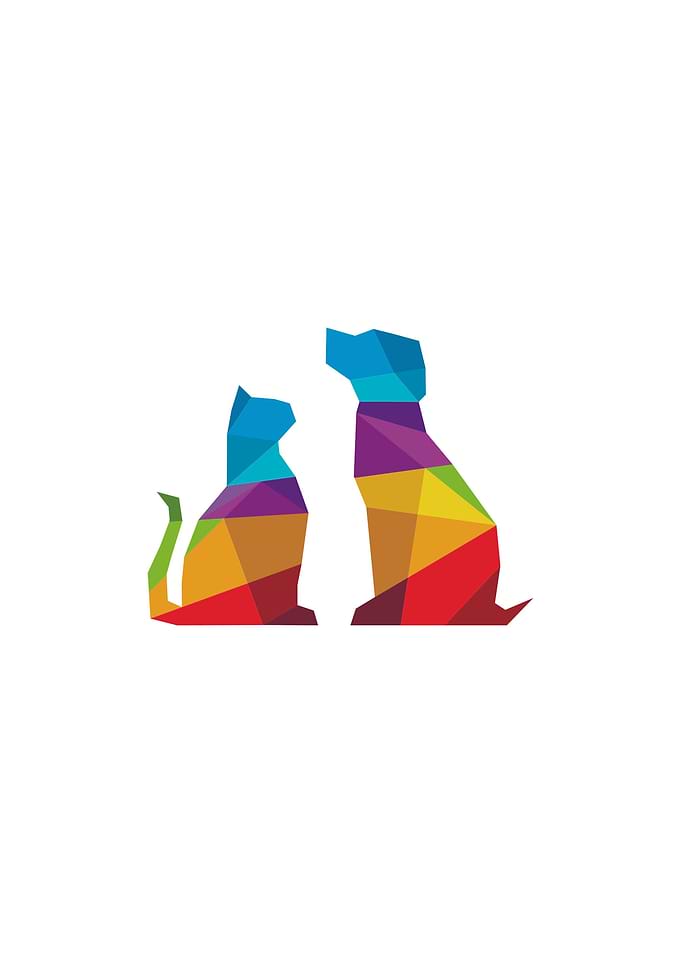 Animal pet and dogs