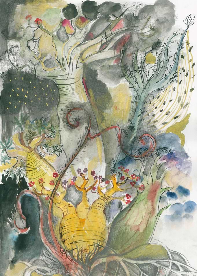 Forest of Fantasy