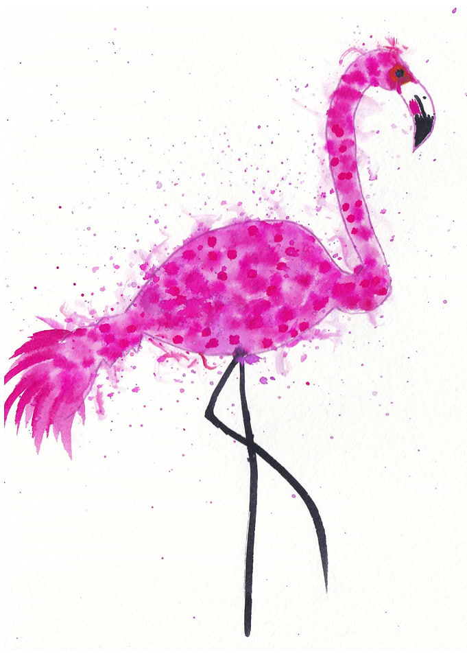 Flamingo