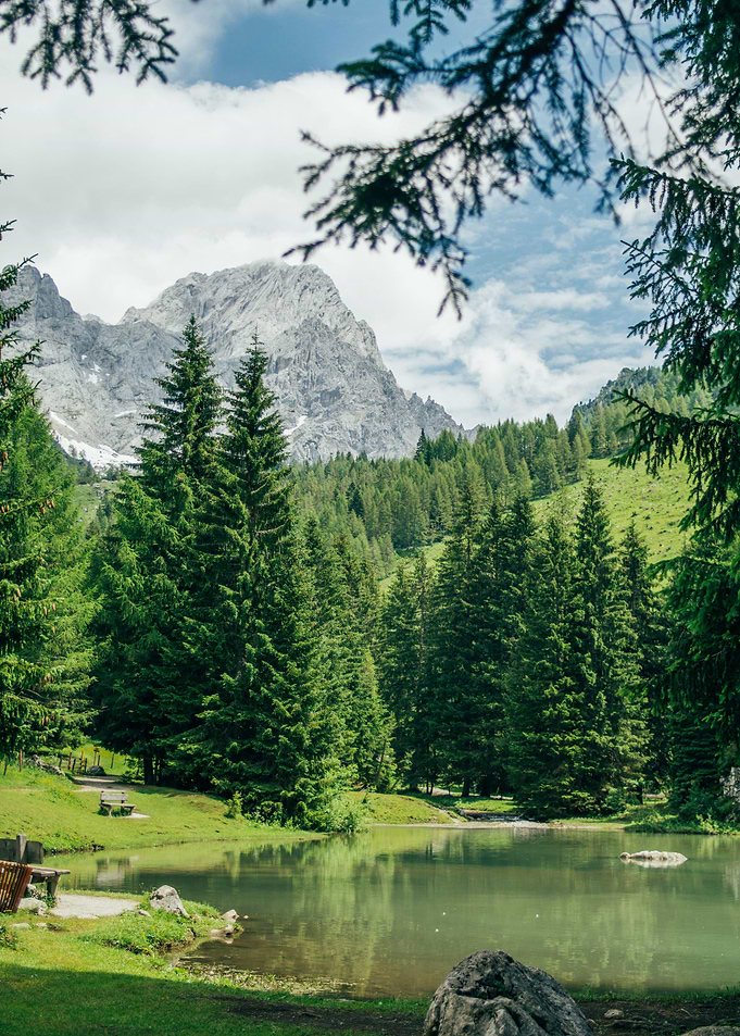 Summer Lake Austria