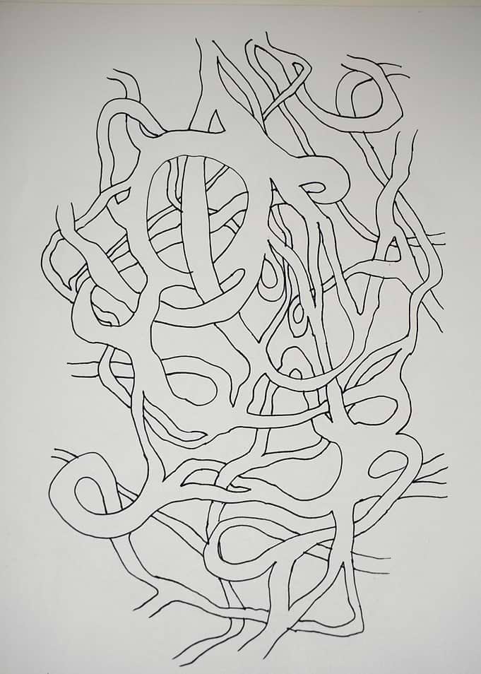 Paths of life II