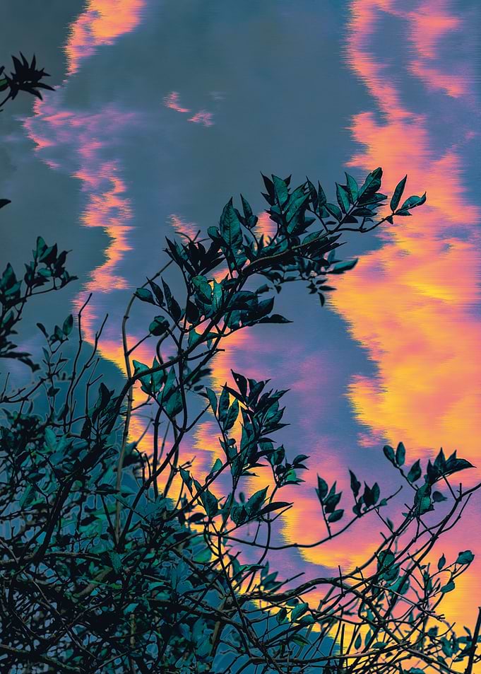 Vapor Glitch Foliage