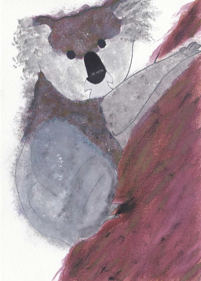 Koala