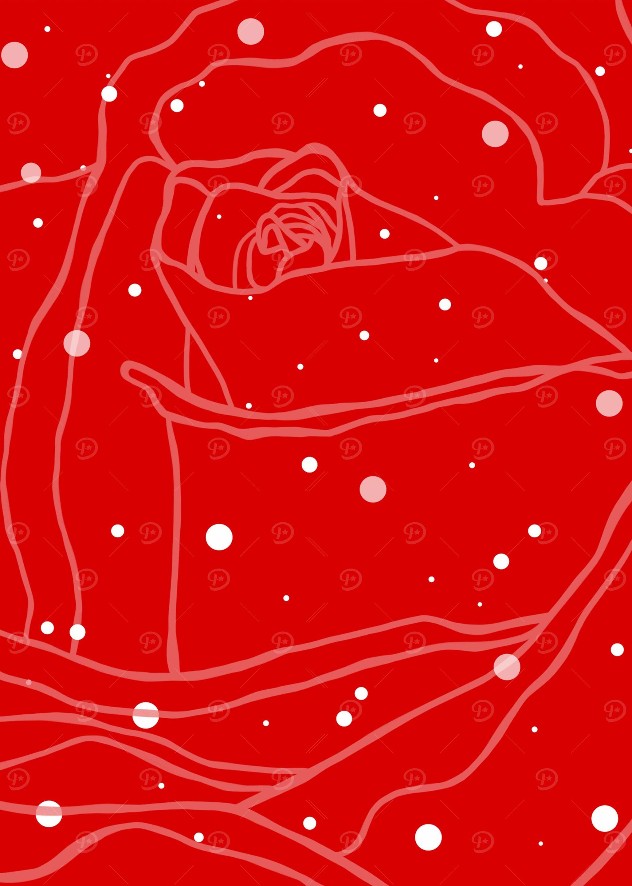 Red rose and white dot