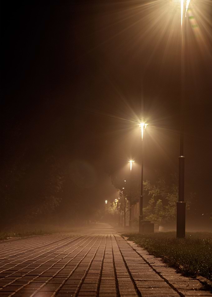 Fog in Bila Tserkva