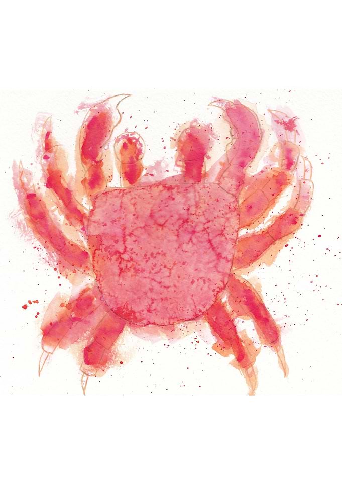 Crab