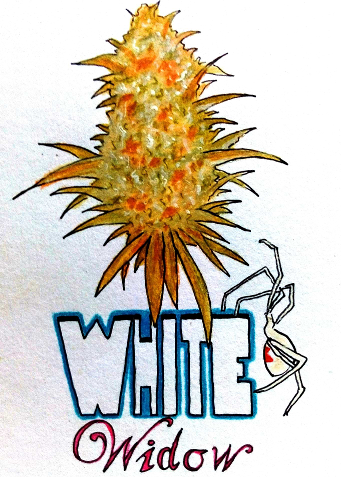 white widow