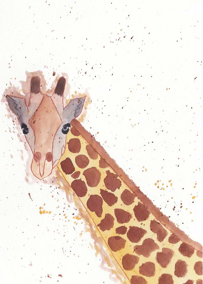 Giraffe
