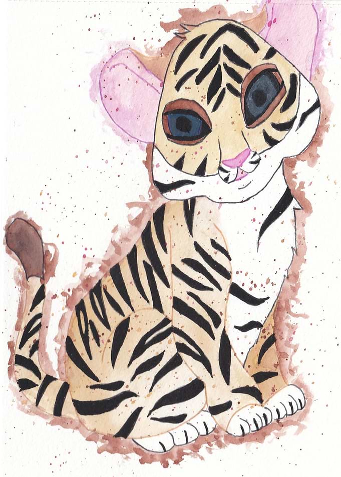 Baby Tiger