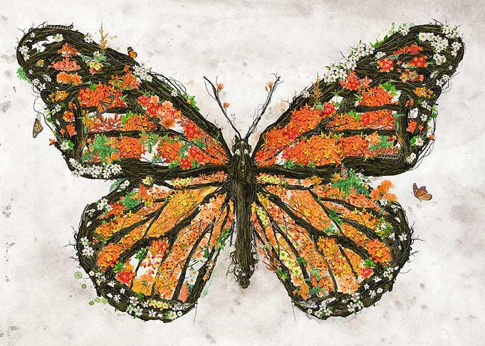 The Monarch
