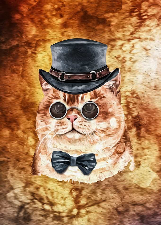 Sir Cat