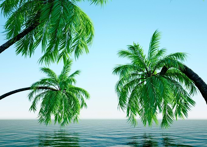 Ocean view