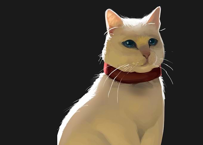 iZzA cAT