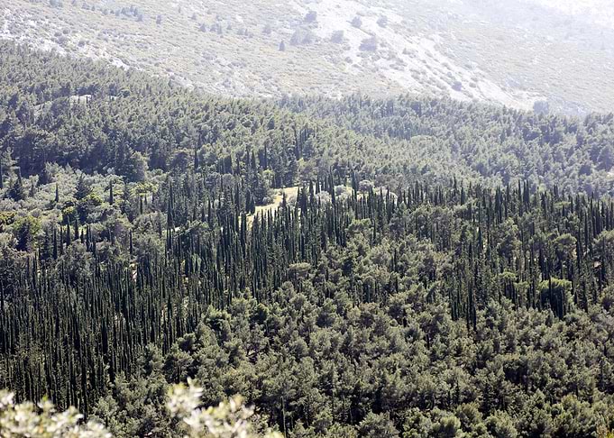 Ymmitos Kalopoula Mountain