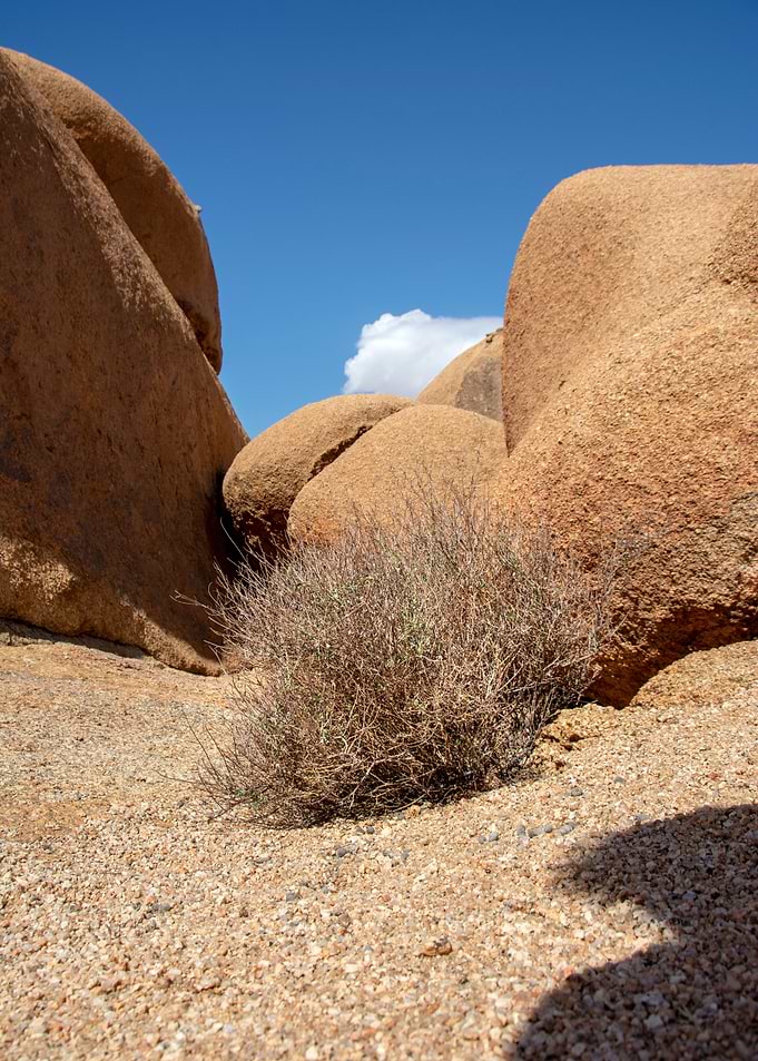damaraland