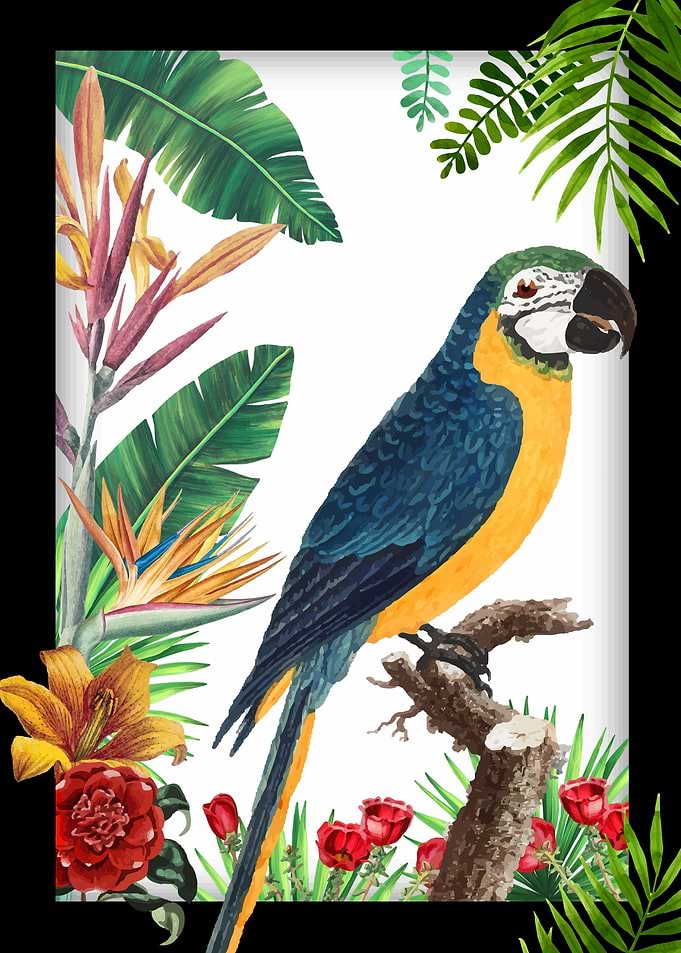bird 6