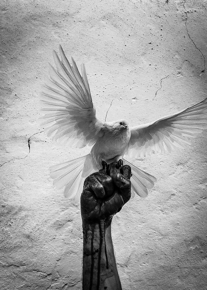 Freedom