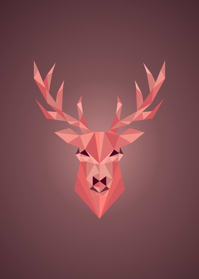 Deer fullcolor