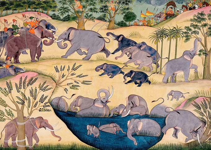 The Elephant Hunt