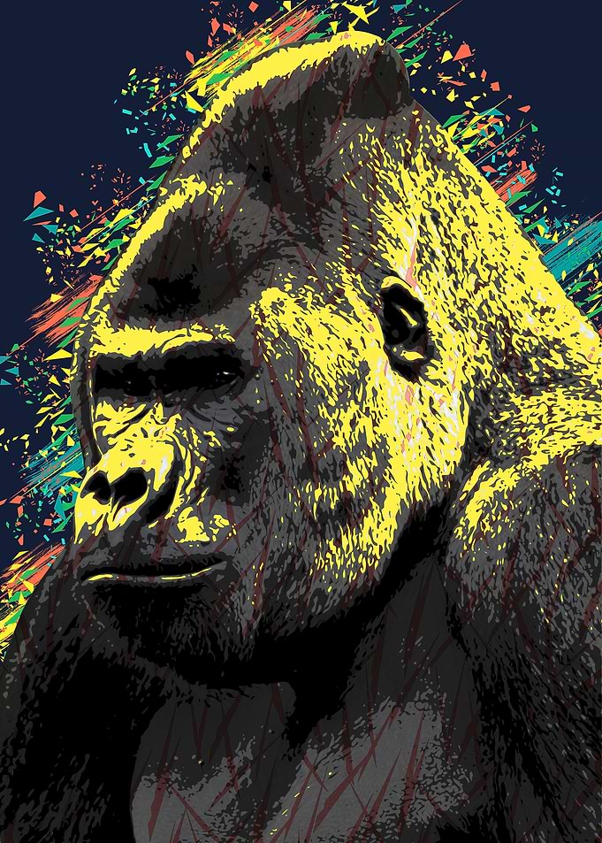 the gorilla stares
