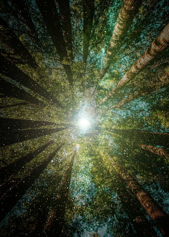 Meet You At The Middle