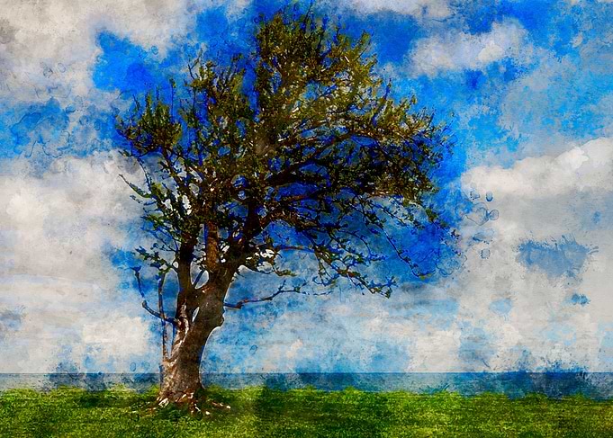 La Rambla