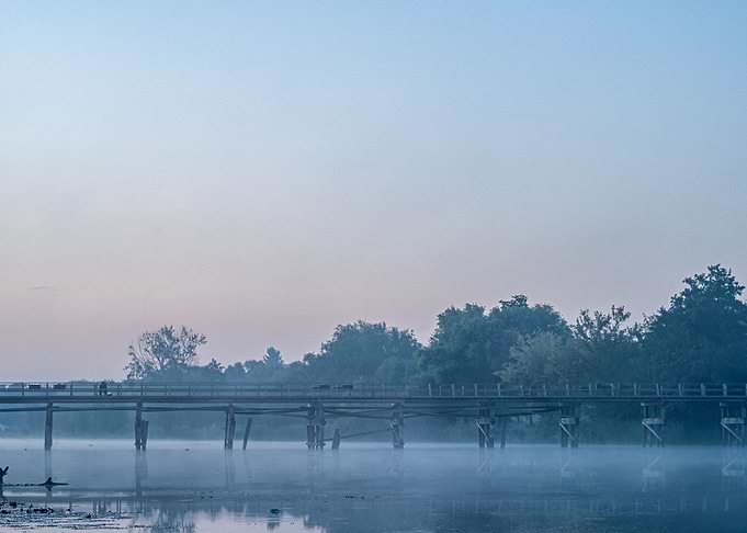 Morning Wooden bridge