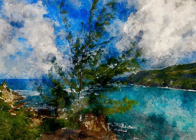 Cove Bay
