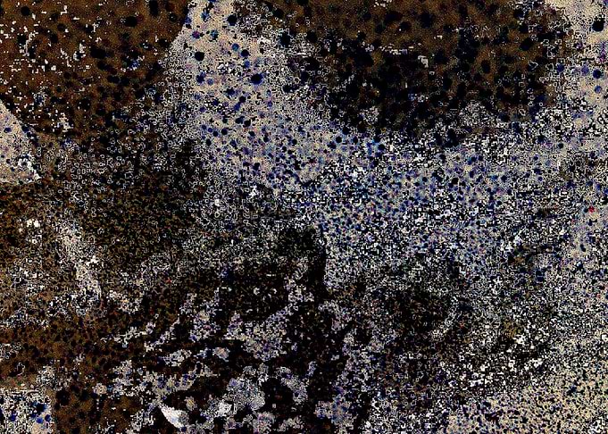 On the coast
