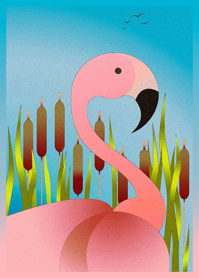 Flamant Rose