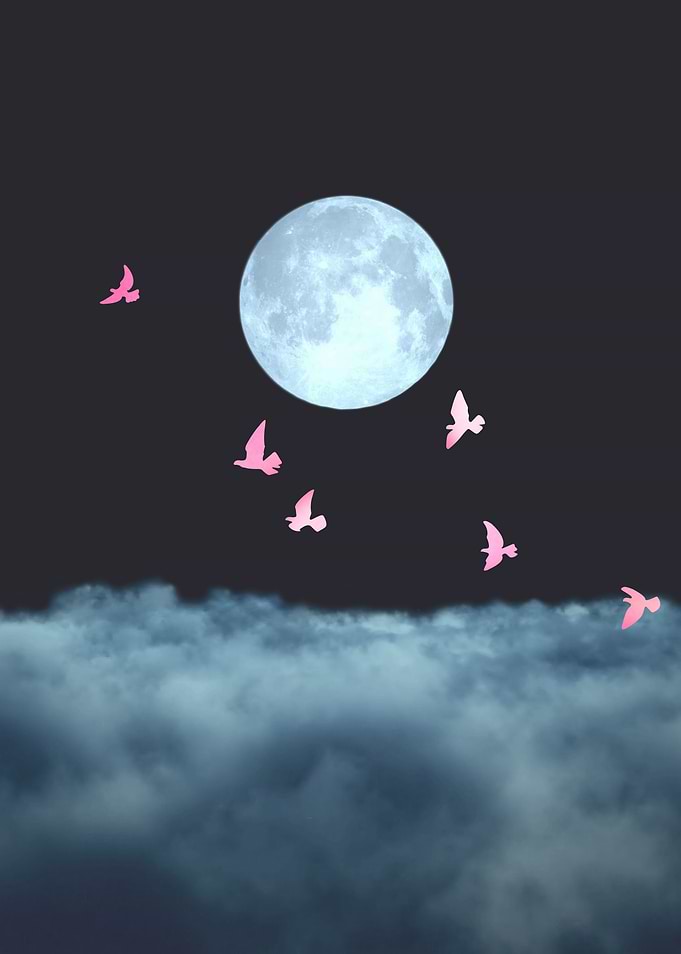 Moonlit Romance