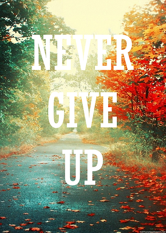 NEVER GIVE UP