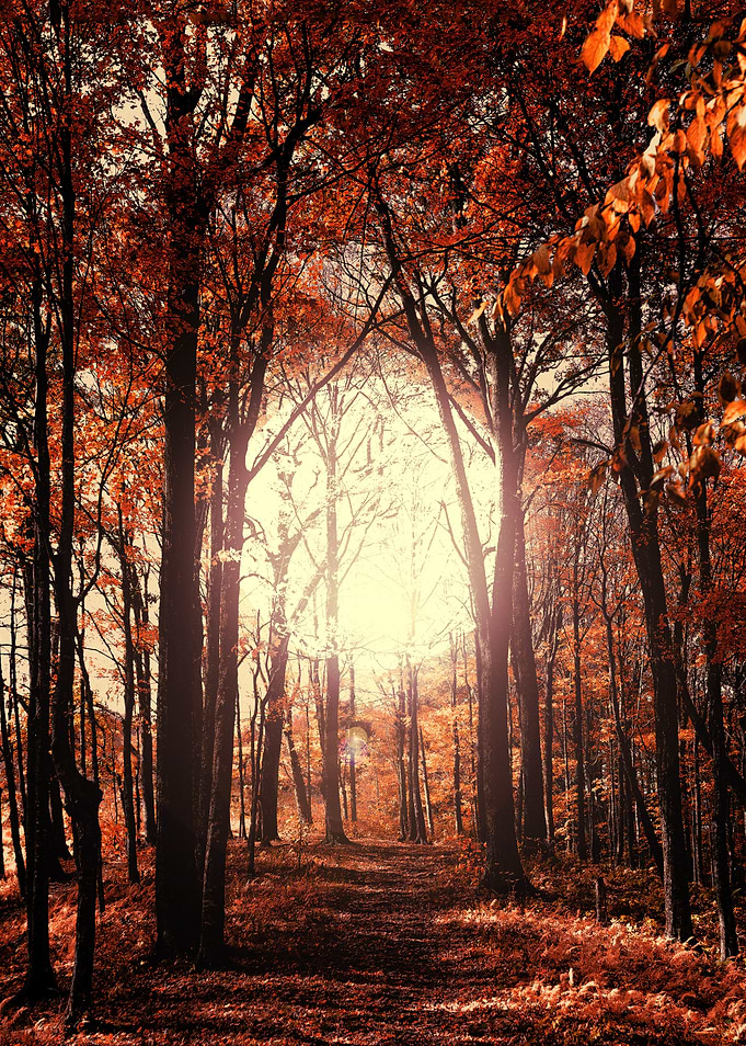 Autumn