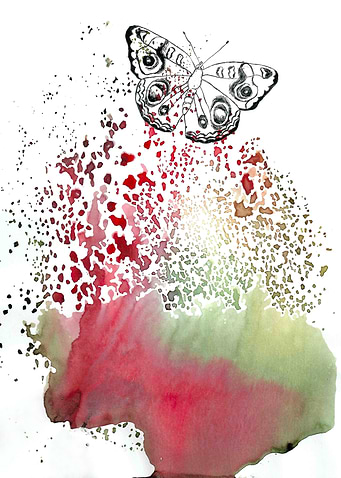 Butterfly Explosion