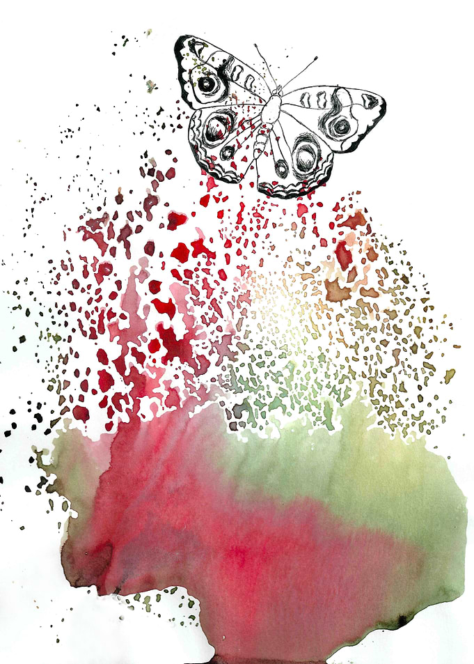 Butterfly Explosion