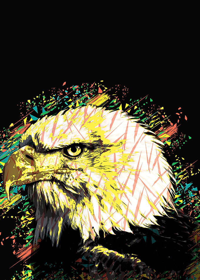 the eagle stares